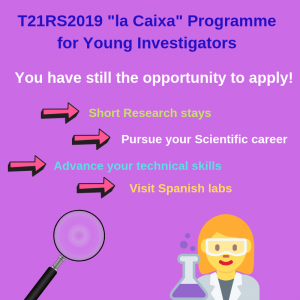 investigadores